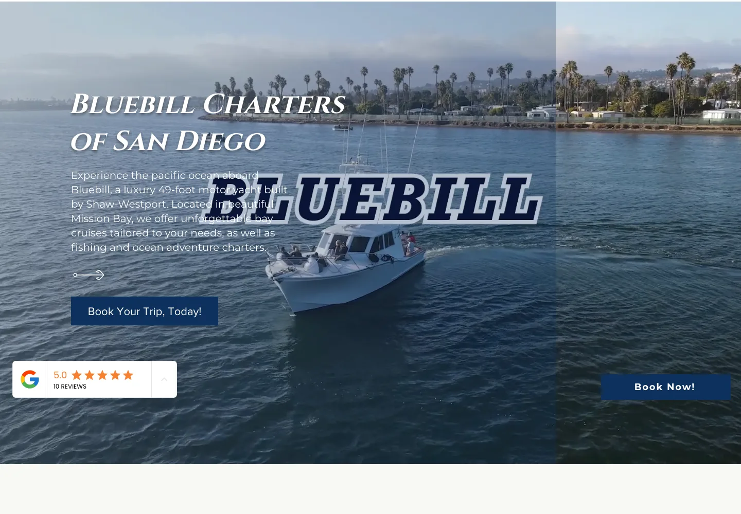 Before: bluebillcharters.com (Wix)